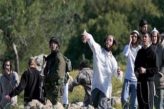 تداوم تعرض‌های وحشیانه شهرک‌نشینان صهیونیست