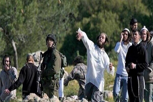 تداوم تعرض‌های وحشیانه شهرک‌نشینان صهیونیست