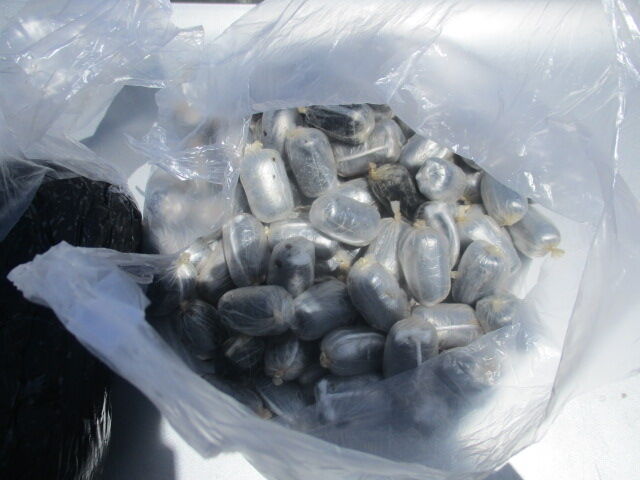 یک کیلو و ۲۸۰ گرم مواد مخدر از معده ۲ قاچاقچی در بجستان کشف شد