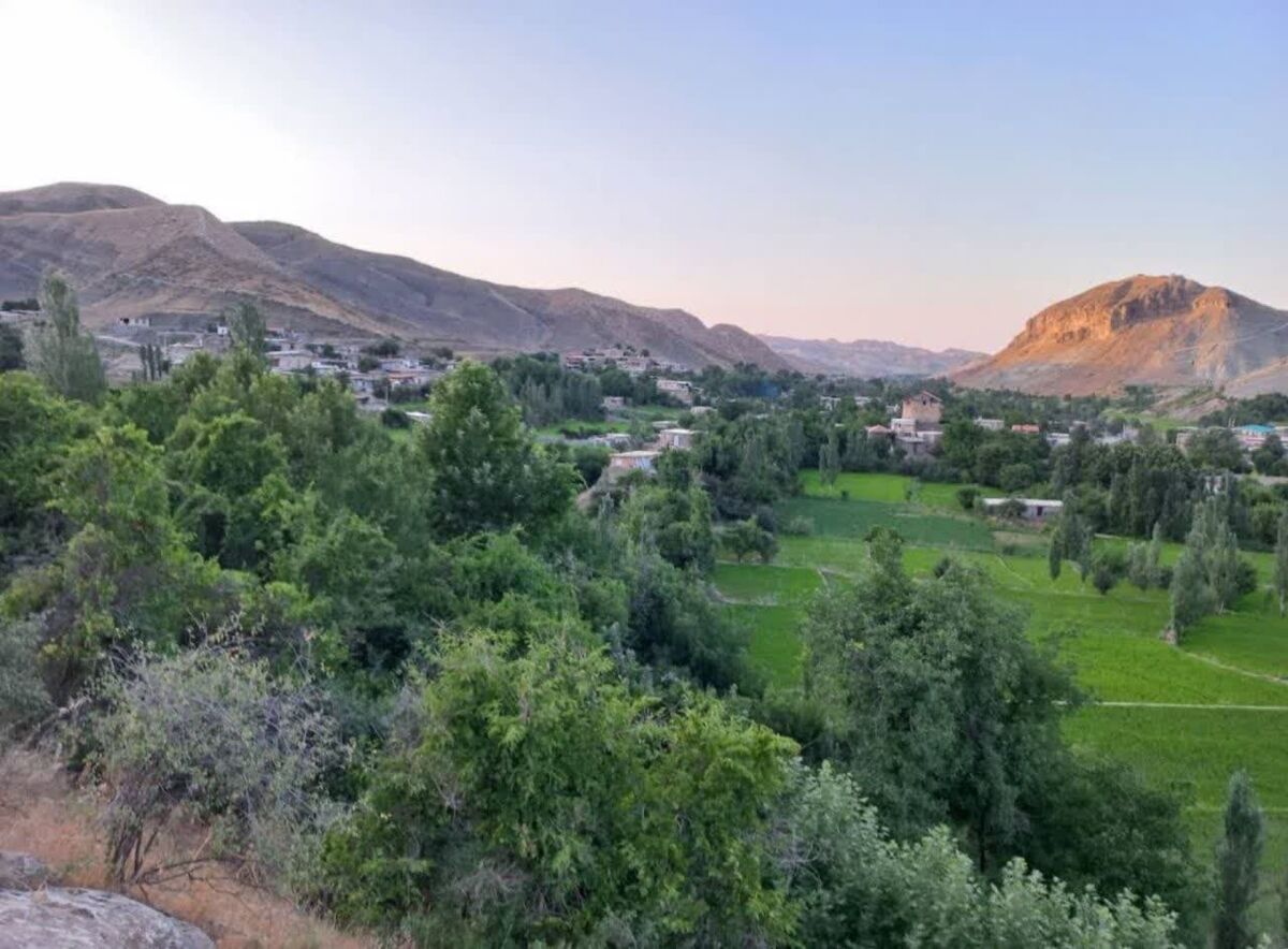 ایدلیک؛ لذت پیادهروی با عطر برنج