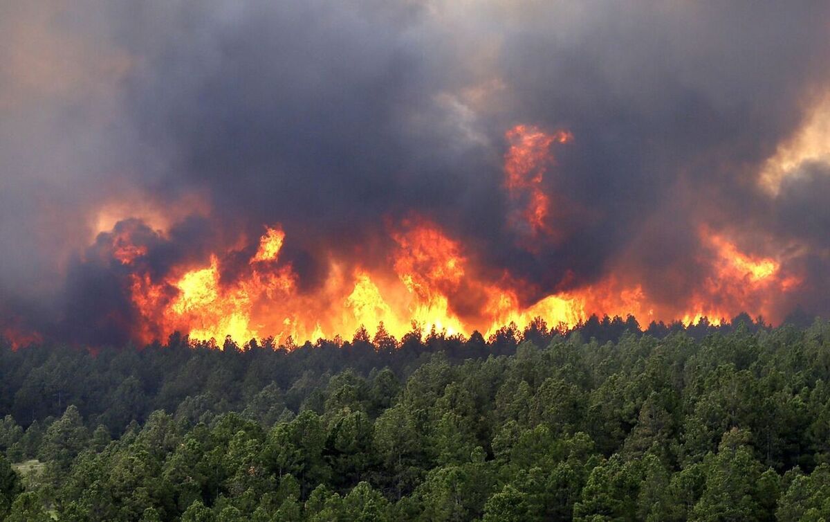 آتش‌ در کمین جنگل‌های مازندران/ در صیانت از جنگل غفلت نورزیم