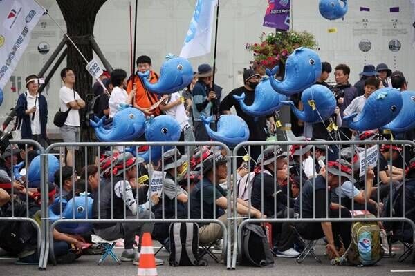 استقبال از گروسی در سئول با اعتراض +عکس