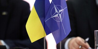 تلگراف: آلمان در پی جلوگیری از عضویت اوکراین در ناتو است