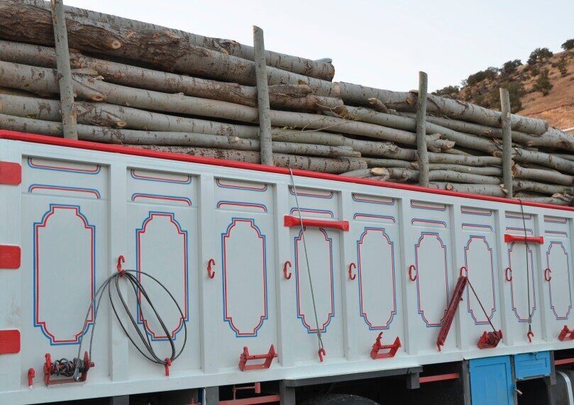 کامیون حامل چوب جنگلی قاچاق در اردبیل توقیف شد