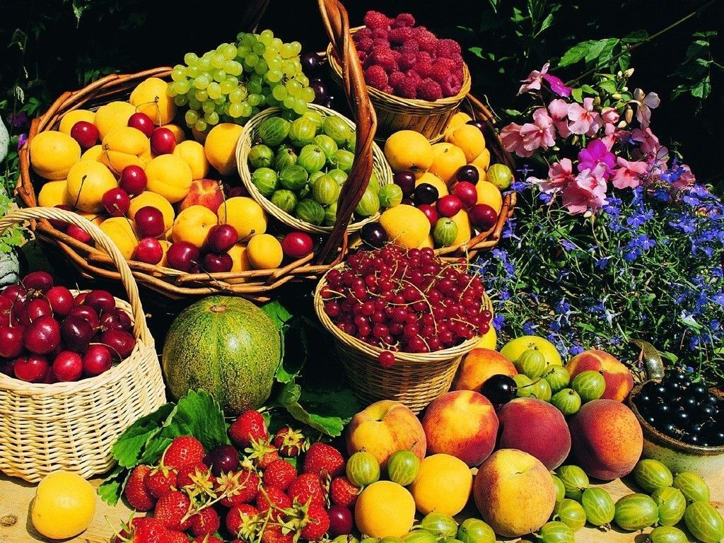 قیمت میوه در مشهد ۱۰ تا ۲۰ درصد کاهش یافت