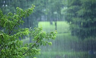 بارش پراکنده در راه برخی استان‌ها / کاهش نسبی دما در نوار شمالی از هفته آتی