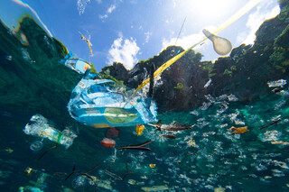 سالانه ۱۸۵ هزار تن پلاستیک در کشور تولید می شود