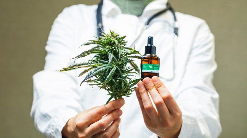 گیاهی که جان میلیونها نفر را گرفته است!