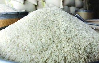 دبیر انجمن تولیدکنندگان و تامین‌کنندگان برنج: ممنوعیت فصلی واردات برنج برای حمایت از تولید داخل پابرجاست