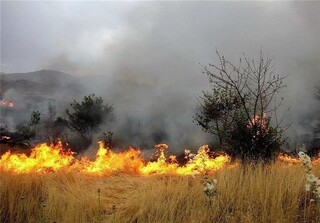 وقوع ۲ حریق در اراضی لرستان/ ۲۰۰ هکتار در آتش سوخت