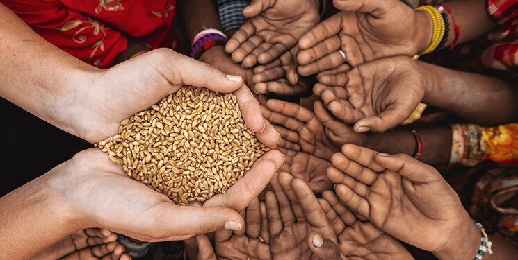 برنامه کشورها برای مقابله با بحران غذایی آینده