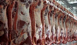 ورود ۴ تا ۵ هزار لاشه گوشت گوسفندی / واردات گوشت تا کاهش قیمت بازار ادامه دارد