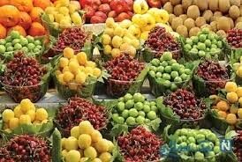 گیلاس گران قیمت‌ترین میوه تابستانی در بازارهای میوه و تره بار است