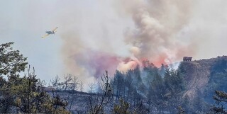آتش‌سوزی مهیب در جنگل‌های ترکیه ۱۲۰ هکتار را سوزاند+فیلم