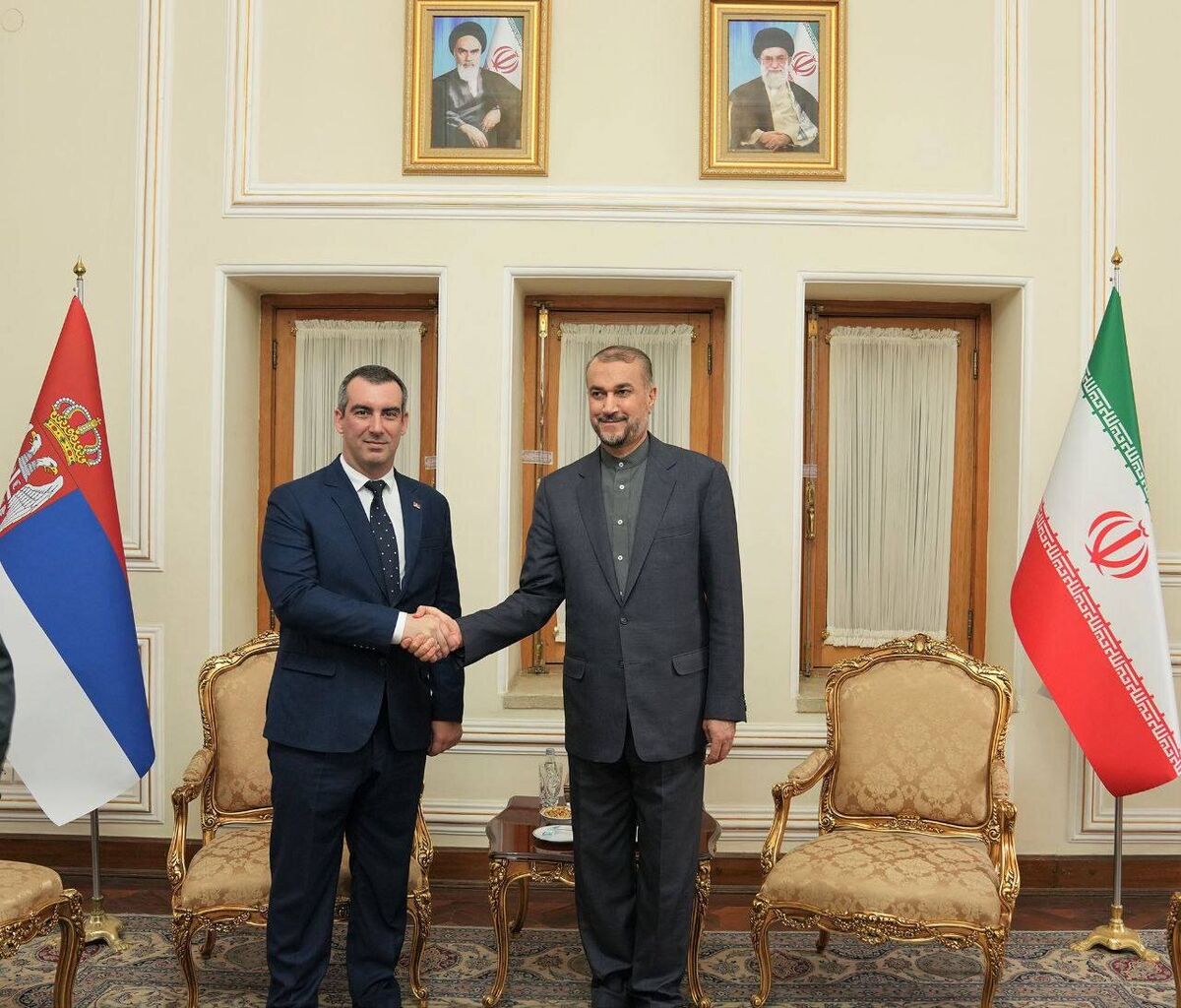 امیرعبداللهیان و رئیس پارلمان جمهوری صربستان دیدار کردند