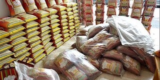 ماجرای ۱.۷ میلیون تن واردات برنج اضافه و تاثیر آن بر رکود و تولید داخلی