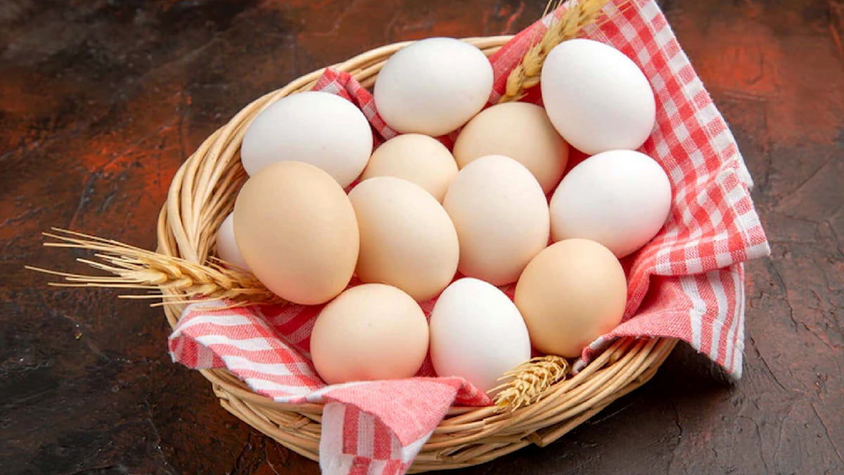 قیمت تخم مرغ در بازار میوه و تره بار چقدر است؟