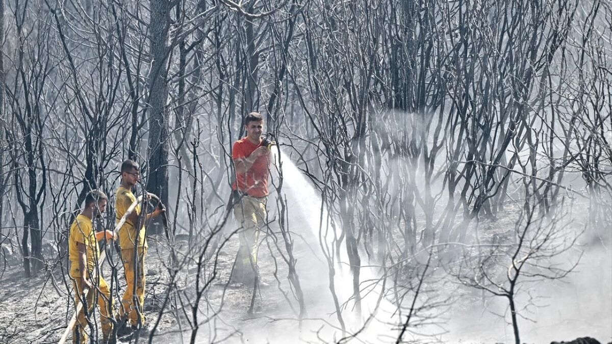 وقوع آتش سوزی در چندین استان ترکیه در پی افزایش کم سابقه دمای هوا
