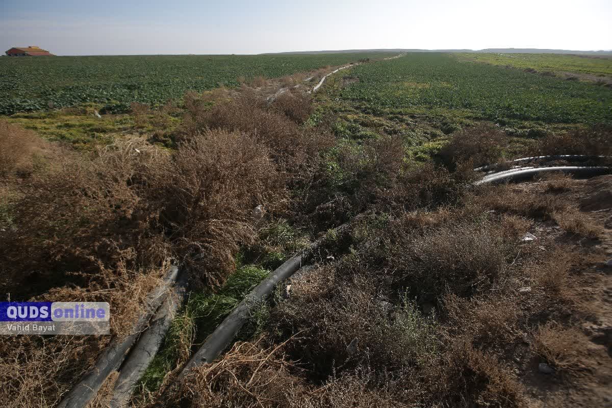 آبفا مشهد از ورود ۱۰۰ مترمکعب پساب آلاینده به «کشف رود» پیشگیری کرد