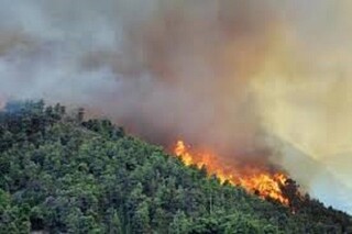 فرماندار گچساران: آتش جنگل‌های ارتفاعات کوه «نارک» گچساران کامل مهار شد