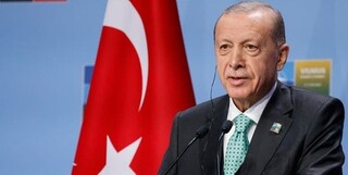 اردوغان: امیدوارم پوتین این ماه به ترکیه بیاید