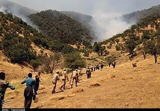 آتش‌سوزی جنگل‌های دنا مهار شد + تصاویر