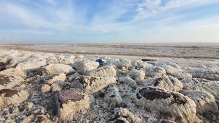 مقصر خشک شدن دریاچه ارومیه وزارت نیرو است