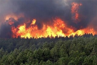 مهار آتش‌سوزی جنگل‌های مریوان پس از ۳ روز / ۴۵۰ هکتار جنگل‌ در آتش سوخته است