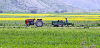 دود برنامه‌ریزی ناکافی به چشم تولیدکنندگان محصولات کشاورزی /  بررسی دلایل اصلی فروش نرفتن سه محصول پرمصرف زراعی در کشور