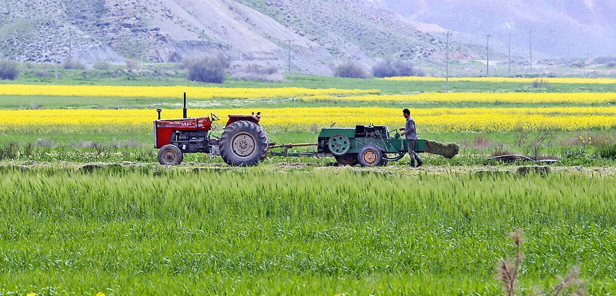 دود برنامه ریزی ناکافی بر چشم تولیدکنندگان محصولات کشاورزی