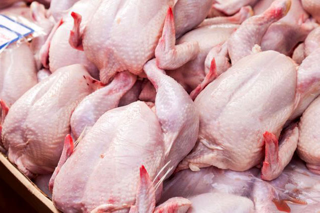 خط مشی جدید خراسان رضوی در افزایش تولید مرغ