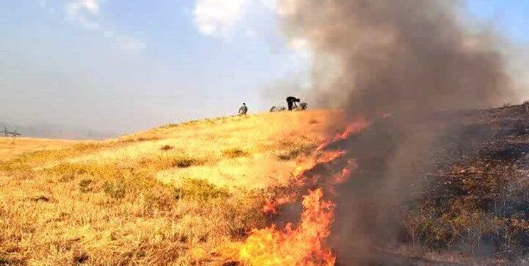 مراتع روستای«زاجکان»طارم دچار آتش‌سوزی شده است