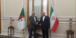 استقبال قالیباف از رئیس مجلس الجزایر