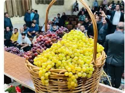 اولین همایش انگور در جهرم برگزار شد