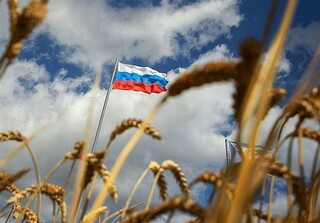پیش بینی ادامه تسلط روسیه بر بازار غلات جهان در سال ۲۰۲۴