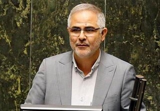 یک نماینده مجلس اعلام کرد؛ احزار تخلفات در فدراسیون سوارکاری