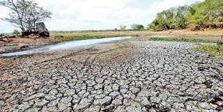 بیش از ۱۰ هزار دریاچه در سریلانکا خشک شدند
