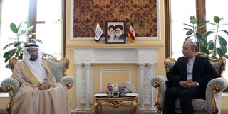 شافعی: دیپلماسی پارلمانی تقویت‌کننده مناسبات دولت‌های ایران و امارات است