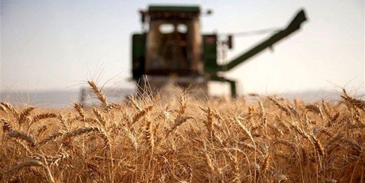 گندم خریداری شده در فارس از یک میلیون تن گذشت