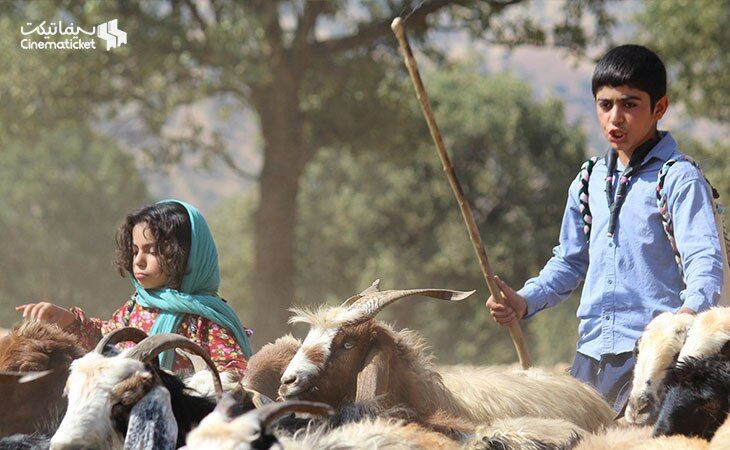گفتوگو با تهیهکننده فیلم «میان صخرهها»/ با دغدغههای بچههای روستا آشنا نیستیم
