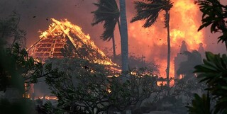 تخلیه ساکنان شرق تگزاس در پی آتش‌سوزی‌های گسترده جنگلی