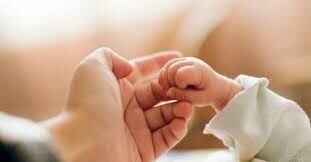 آمار بارداری در مراکز تحت پوشش دانشگاه علوم پزشکی مشهد افزایش داشته است