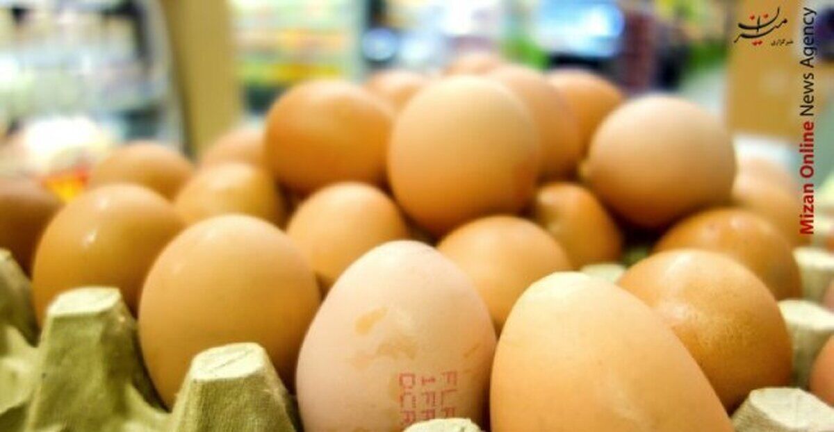صادرات ۸۵ هزار تن تخم‌مرغ به کشورهای همسایه/ نرخ جدید هفته آینده اعلام می‌شود