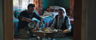 ۲۵ جایزه بین‌المللی در کارنامه فیلم «درخت خاموش»