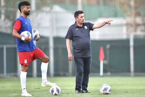 امیر قلعه نویی