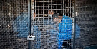 دستگیری ۱۴۵ اراذل و اوباش نوظهور در اسلامشهر