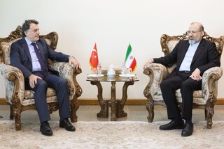 دیوان محاسبات از گسترش همکاری‌ با ترکیه حمایت می‌کند
