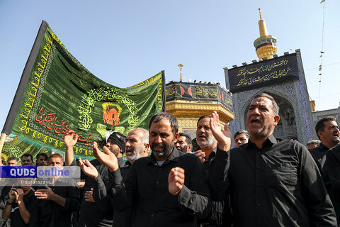 گزارش تصویری I عزاداری روز شهادت امام رضا علیه‌السلام در حرم مطهر رضوی