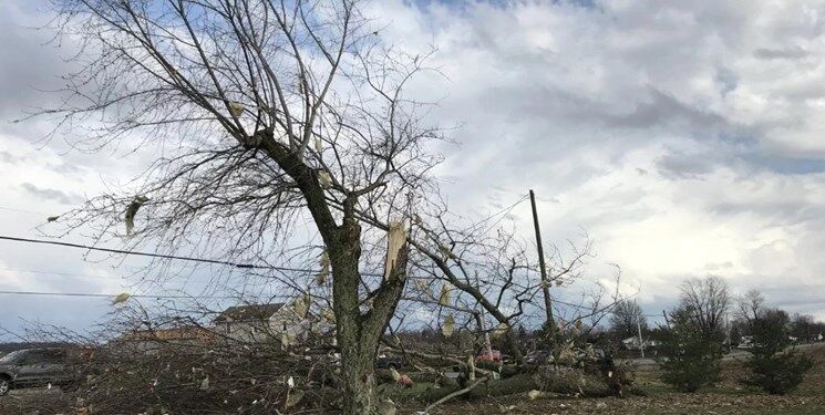 ایالت مین آمریکا درگیر قطعی گسترده برق شهروندان