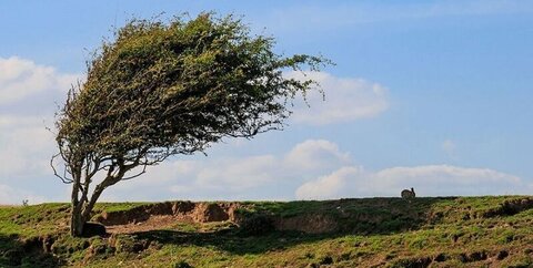پیش‌بینی وزش باد شدید و بارش‌های پراکنده در خراسان شمالی